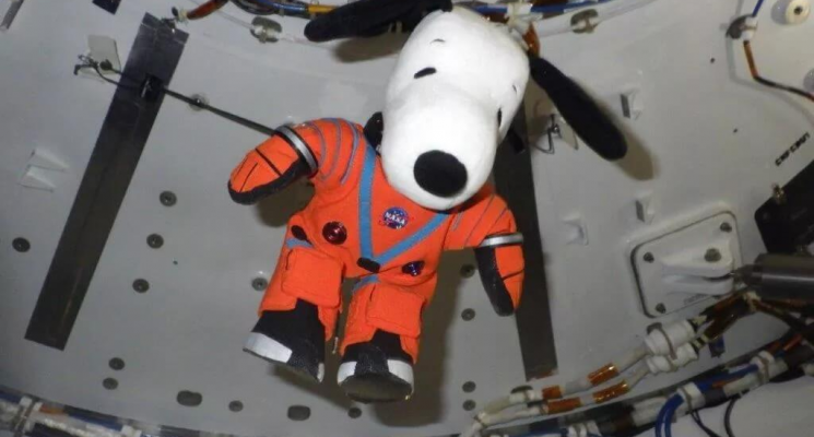 Зачем NASA отправило на Луну фигурки LEGO и другие игрушки. Внутри космического корабля «Орион» полно игрушек, и они там неспроста. Фото.